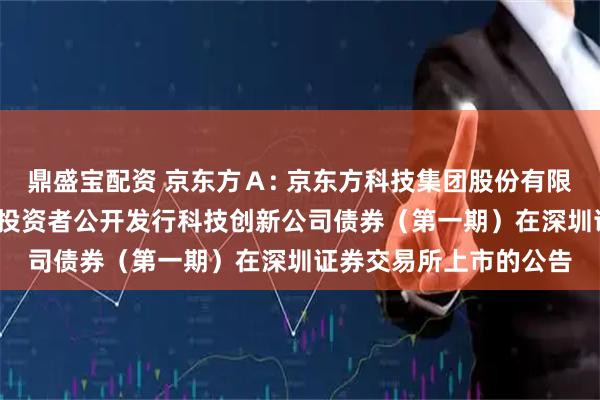 鼎盛宝配资 京东方Ａ: 京东方科技集团股份有限公司2025年面向专业投资者公开发行科技创新公司债券（第一期）在深圳证券交易所上市的公告