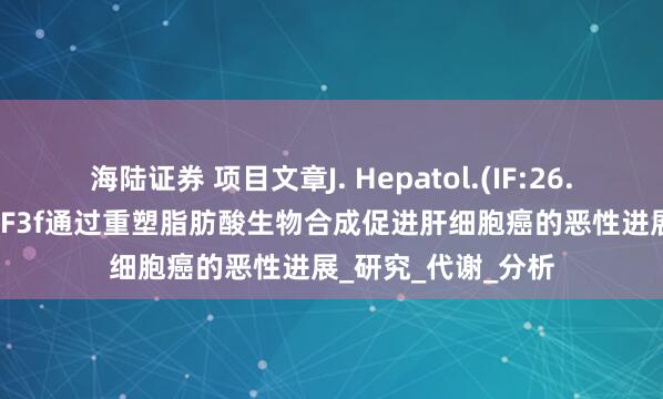 海陆证券 项目文章J. Hepatol.(IF:26.8)｜多组学揭示eIF3f通过重塑脂肪酸生物合成促进肝细胞癌的恶性进展_研究_代谢_分析