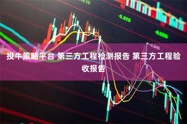 投牛策略平台 第三方工程检测报告 第三方工程验收报告